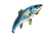Realistic fish leaping out of water in a dynamic display on a clear transparent background, Realistic Fish Leaping Out of Water Isolated on transparent background png