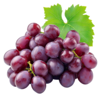 Fresh grape clusters on a transparent background showcasing vibrant color and natural beauty of the fruit, Fresh Grape Clusters isolated on transparent background png