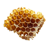Natural honeycomb on a transparent backdrop showcasing intricate hexagonal patterns and rich golden color, Honeycomb on a transparent background png