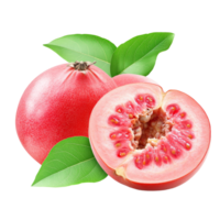 Red guava fruit with green leaves isolated on plain transparent background for fresh produce presentation, red guava fruit with leaf isolated on transparent background png