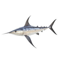 Swordfish on a transparent background highlights its sleek design, ideal for culinary use or marine study, Swordfish Isolated on transparent background png