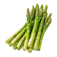 Fresh green asparagus spears isolated on a transparent background for culinary use or presentation, Asparagus isolated on transparent background png