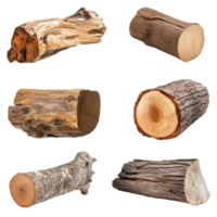 Different types of old wood logs displayed on a transparent background showcasing unique textures and cuts, Different types of old wood logs transparent background. Wooden log isolated on transparent png