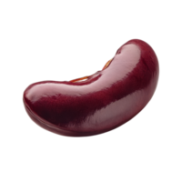 Single red kidney bean isolated on a clean transparent background, showcasing its glossy texture and natural color, Red bean isolated on transparent background png