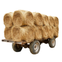 Loading hay bales onto a trailer for transport against a transparent background, Loading hay bales isolated on transparent background png