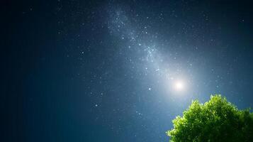 Starry night sky with a bright celestial body and a lush green tree in the foreground photo