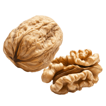 hela valnöt och knäckt valnöt som visar texturerad skal på transparent bakgrund, valnöt och en knäckt valnöt isolerat på transparent bakgrund png