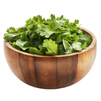 Fresh coriander leaves in a wooden bowl ready for culinary use on a clean transparent background, coriander leaf in wood bowl isolated on transparent background png