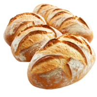 A fresh row of artisan loaves of bread lined up on a clean transparent background, a row of loaf of bread on transparent backgroundfile png