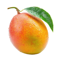 Fresh mango isolated on Transparent background showcasing vibrant colors and natural water droplets, mango isolated on background png