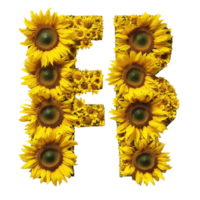 Sunflowers creatively arranged to form the letters E, F, G, and H in a bright display of floral artistry, Image sunflowers arranged in letters EFGH isolated on white background png