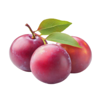 Fresh marian plum fruits isolated on Transparent background showcasing vibrant colors and smooth skin texture, Marian plum thai fruitisolated on background png