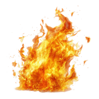 Bright flames erupting against a clean white background creating an intense display of fire, Fire on white background png