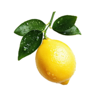 Bright yellow lemon with fresh green leaves on Transparent background highlighting natural freshness and zest, lemon isolated on background png
