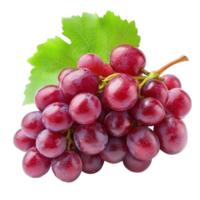 Red grapes cluster isolated on Transparent background featuring lush greenery, red grape isolated on background png