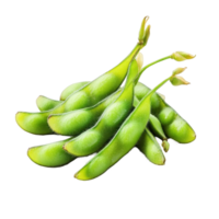 Fresh edamame green soybeans displayed isolated on a Transparent background for healthy eating and cooking ideas, edamame green soy beans isolated on background png