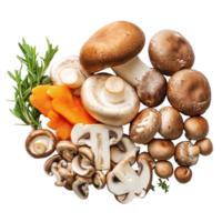 Fresh assorted mushrooms and vegetables isolated on a Transparent background for culinary use and recipe preparation, mushroom vegetable ingredientisolated on background png