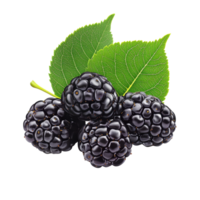 Fresh mulberry berries with vibrant green leaves isolated on a Transparent background for culinary uses, Mulberry berry with leafisolated on background png