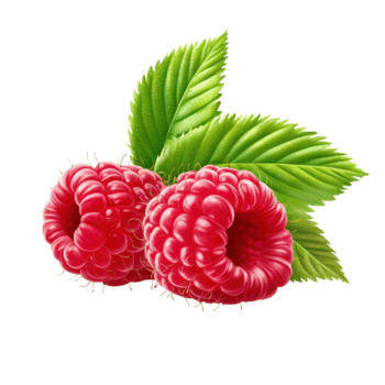 fresco lampone frutta con vivace verde le foglie isolato su trasparente sfondo per culinario uso, lampone con le foglie isolato su sfondo png