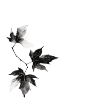 Ink leaves displayed on a clean white background capturing natural beauty and simplicity, ink leaves isolated on white background png