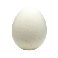 White egg isolated on a Transparent background showcasing its smooth texture and subtle speckles for culinary uses, white eggs isolated on background png