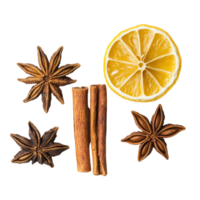Cinnamon sticks, star anise, and dried lemon arranged on a white background for culinary use, Cinnamon stick, star anise and dried lemon isolated on white background png