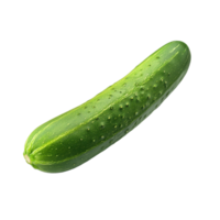 Fresh cucumber isolated on Transparent background showcasing vibrant color and texture, cucumber isolated, isolated on background single png