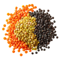 Colorful lentils arranged in a visually appealing pattern on a Transparent background showcasing their diversity, Lentils isolated on background png