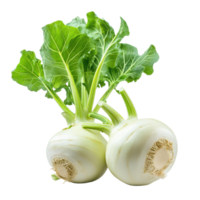 Fresh kohlrabi with vibrant green leaves showcases healthy vegetable sourced from local farms, Fresh kohlrabi with green leavesisolated on white background png
