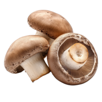 Fresh brown champignon mushrooms arranged for culinary preparation and presentation in the kitchen, Three brown champignons or portobello mushrooms isolated on Transparent background png