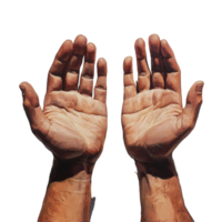 Open hands with palms facing up, conveying openness and receptiveness in a serene setting, Open Hands directed palms up png