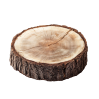 Tree stump slice isolated on Transparent background showcasing natural wood texture and grain patterns, Tree stump slice isolated on background png
