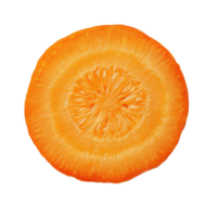 Carrot slice viewed from above on white background highlighting its vibrant orange color and texture, Carrot slice top view isolated on white background png