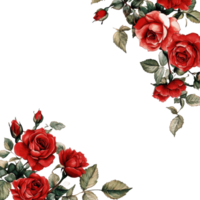 Vibrant red roses against a clean Transparent background create a stunning floral design for various occasions, Red rose background background png