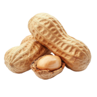 Peanuts on Transparent background showcasing natural shape and texture for culinary uses and snacks, peanuts isolated on background png