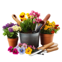 Gardening tools and colorful flowers in pots on a bright white background, Garden steel tools and flowers in pots, white background png