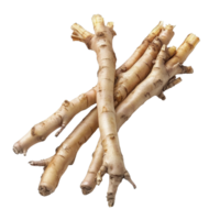 Fingerroot Kaempfer Boesenbergia isolated on white background showcasing its unique structure and texture, Fingerroot, Kaempfer, Boesenbergia inisolated on white background png