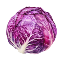 Red cabbage isolated on a Transparent background showcasing vibrant color and leaf texture, Red cabbage on background png