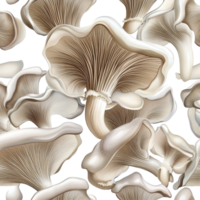 Oyster mushrooms arranged in a seamless pattern on a clean Transparent background, Oyster mushrooms seamless isolated on background png