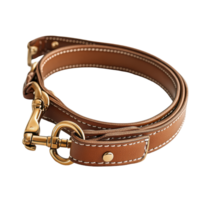 Stylish leather dog collar with matching leash for outdoor walks and adventures, Dog Collar with Leash Isolated png