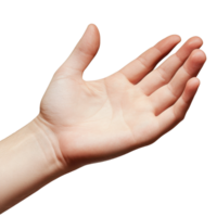 Open palm presented against a white background showcasing a human hand in a neutral position, Human hand empty outstretched palm, white background png