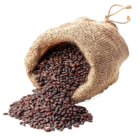 Exotic rice berry spilling from burlap sack on bright Transparent background, Rice Berry in sack isolated on background png
