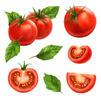 Fresh red tomatoes and green leaves isolated on Transparent background showcasing sliced and whole variants, Tomatoes with leaves, half and piece tomato isolated png