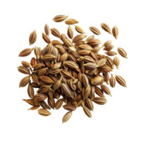 Heap of dill seed isolated on white background showcasing its distinct shape and texture, Heap dill seed isolated on white background png