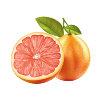 Fresh grapefruit citrus fruit with vibrant pink flesh on a white background, Grapefruit citrus fruit isolated on White background png