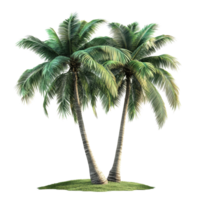 Tropical trees with lush green leaves isolated on Transparent background for nature and design themes, tropical trees isolated on background png