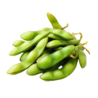 Fresh edamame soybeans isolated on a clean Transparent background for culinary presentation and healthy snacking, edamame soy beans isolated on background png
