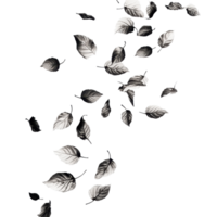 Leaves dancing in the gentle wind, gracefully fluttering on a Transparent background, Leaves fluttering in the wind isolated on background png
