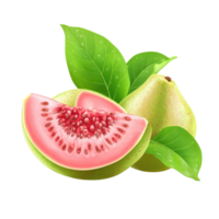 Fresh guava fruit with leaves on a transparent white background showcasing vibrant colors and textures, Guava fruit isolated on ransparent white background png