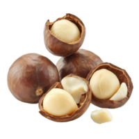 Macadamia nuts isolated on Transparent background showcasing rich texture and natural color, macadamia nuts isolated on background png